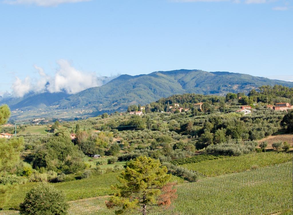 toskański krajobraz